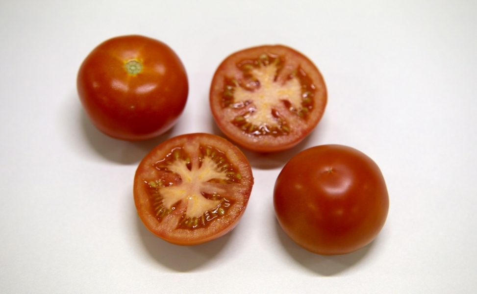 img-Tomate Ronde